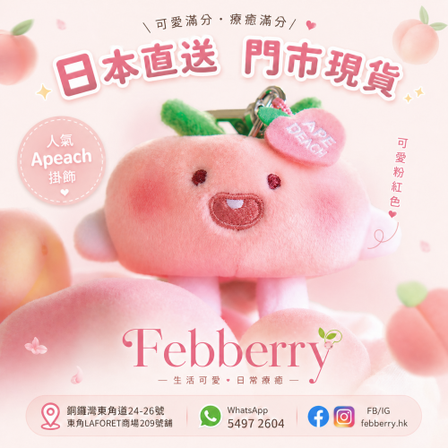 韓國Kakao Fds桃子Apeach鎖匙扣/公仔掛飾 韓國Kakao Fds桃子Apeach鎖匙扣/公仔掛飾